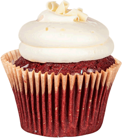 Chocolate-Cupcake-with-Vanilla-Icing—Smallcakes Chocolate Cupcake with Vanilla Icing at Smallcakes