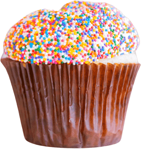 Sprinkled-Cupcake—Smallcakes Sprinkled Cupcake at Smallcakes